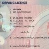 British drivers licence