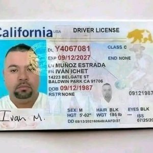 Buy California Driver License