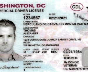 Buy Washington DC Driver License